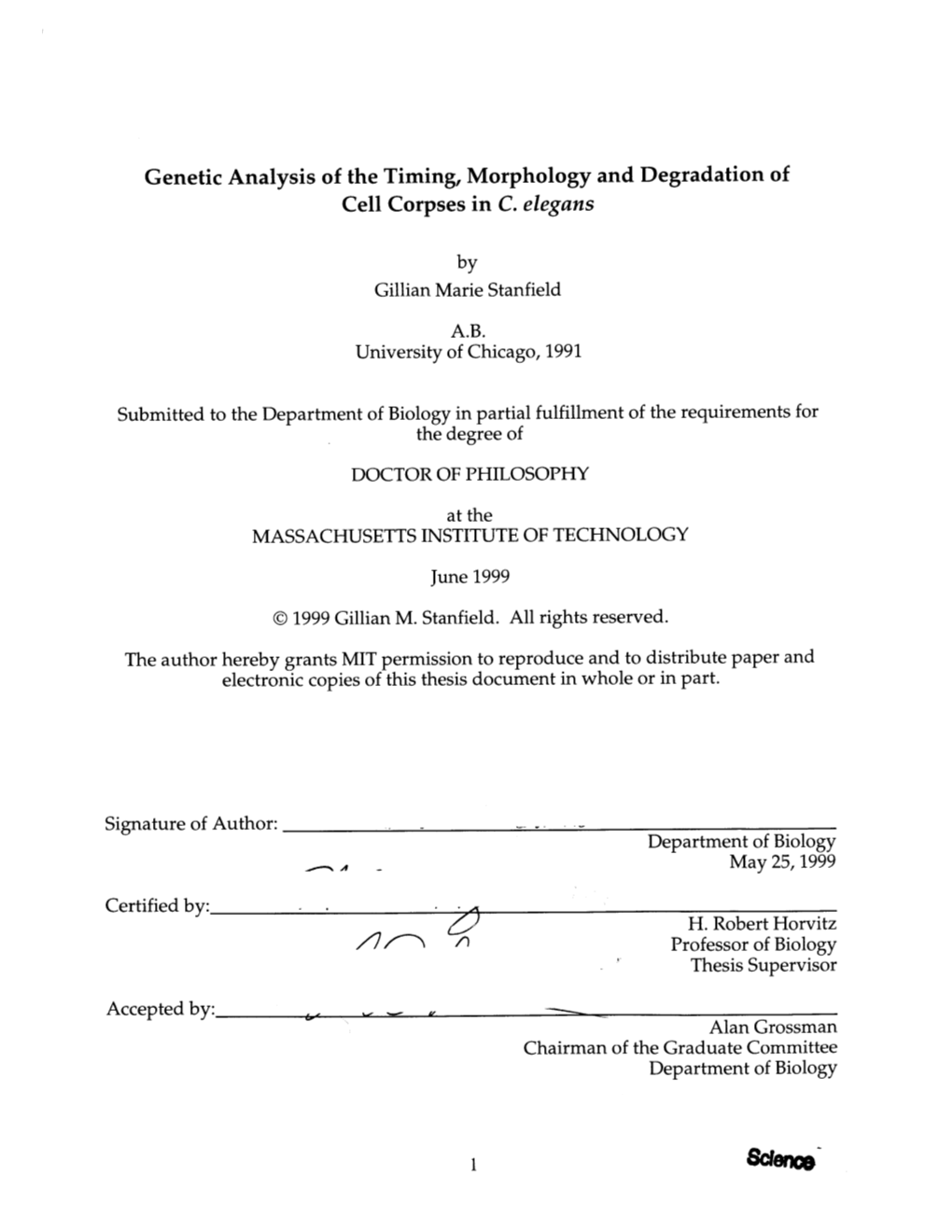 Genetic Analysis of the Timing, Morphology and Degradation of Cell Corpses in C. Elegans Xl 7