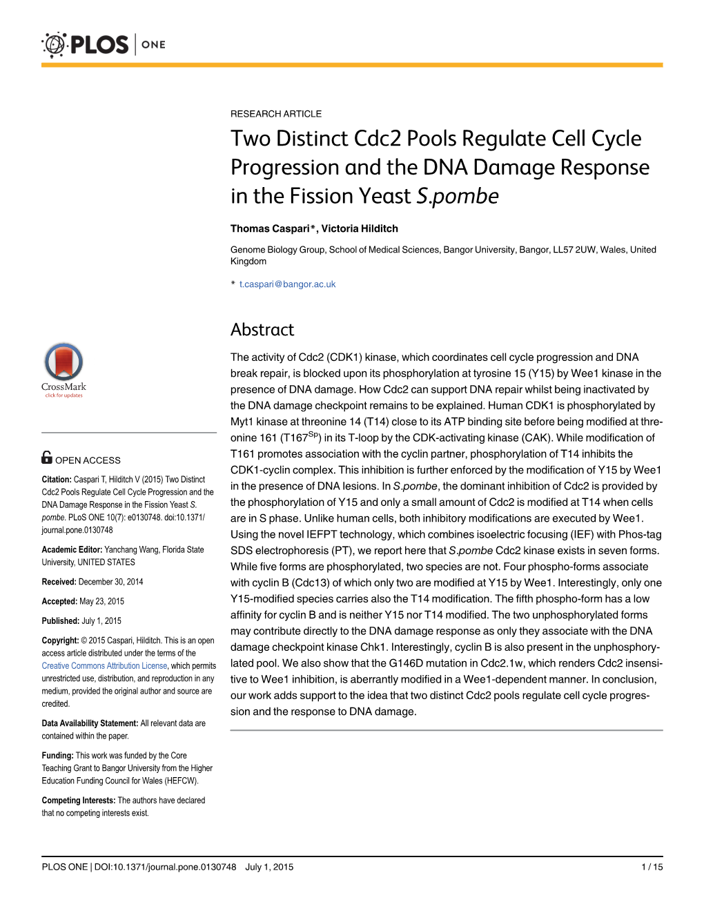 Two Distinct Cdc2 Pools Regulate Cell Cycle Progression and the DNA Damage Response in the Fission Yeast S.Pombe