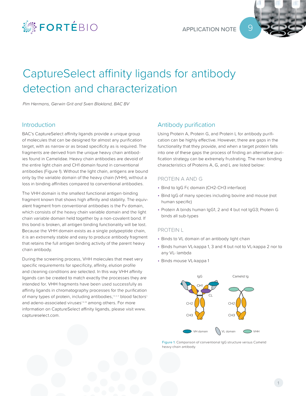 Application Note: Captureselect Affinity Ligands for Antibody Detection and Characterization