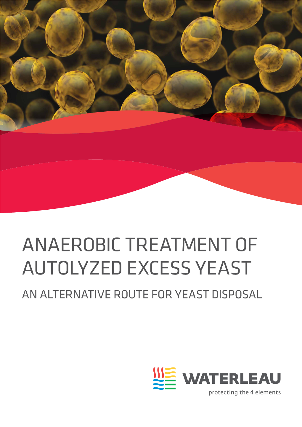 Anaerobic Treatment of Autolyzed Excess Yeast an Alternative Route for Yeast Disposal an Alternative Route for Yeast Disposal