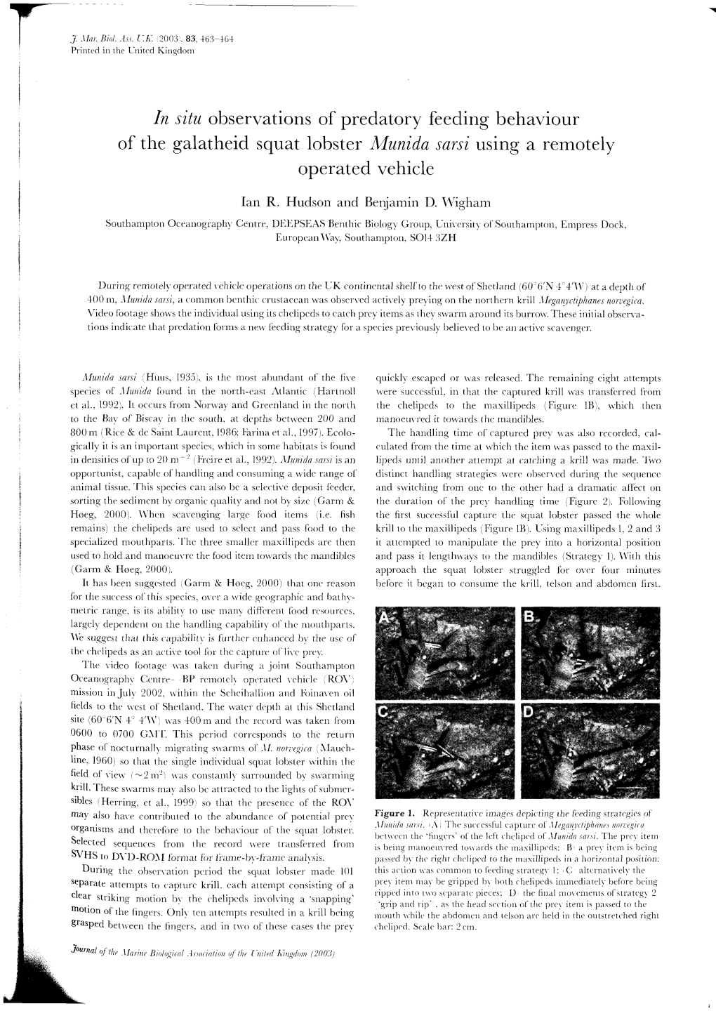 In Situ Observations of Predatory Feeding Behaviour of the Galatheid Squat Lobster Munida Sarsi Using a Remotely Operated Vehicle