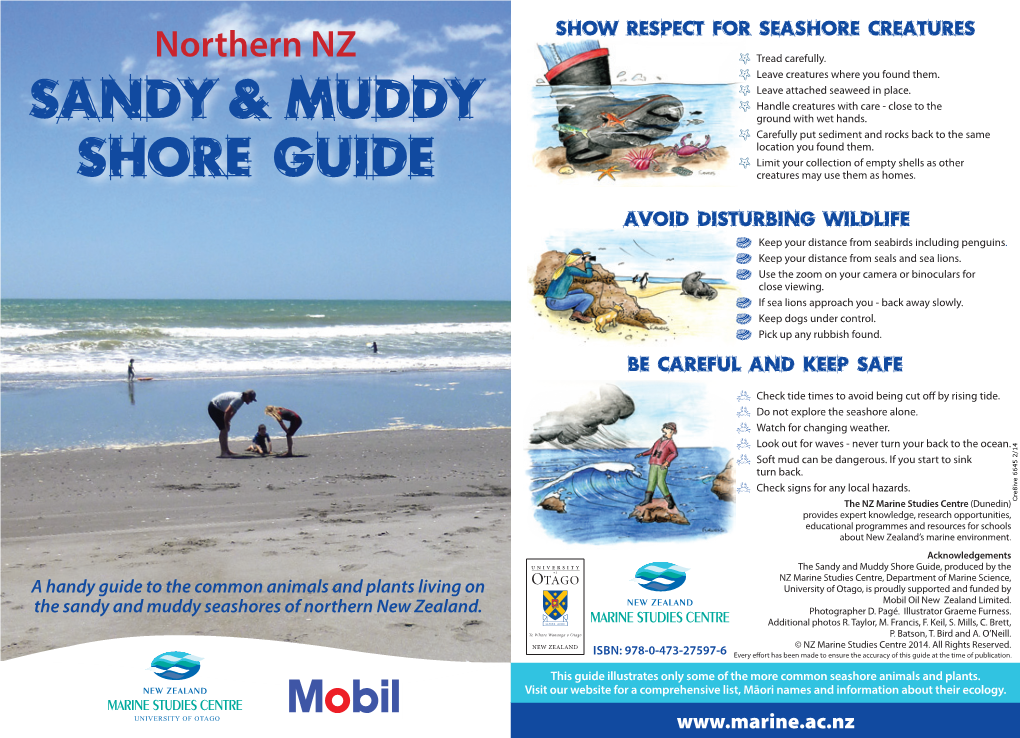 Sandy & Muddy Shore Guide