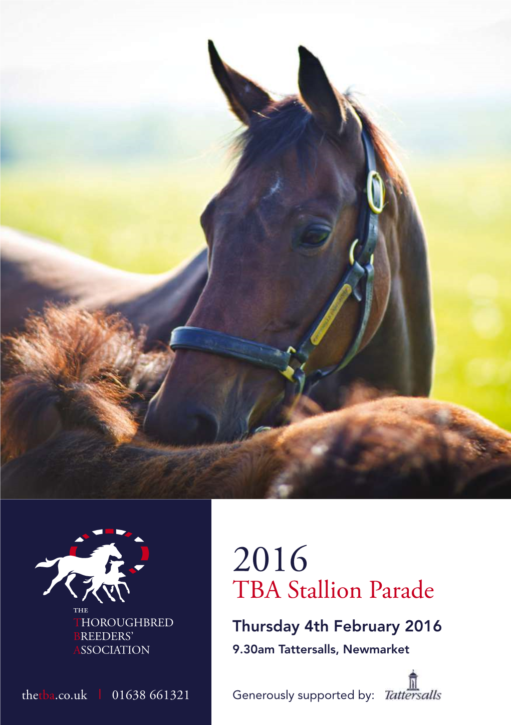 TBA Stallion Parade