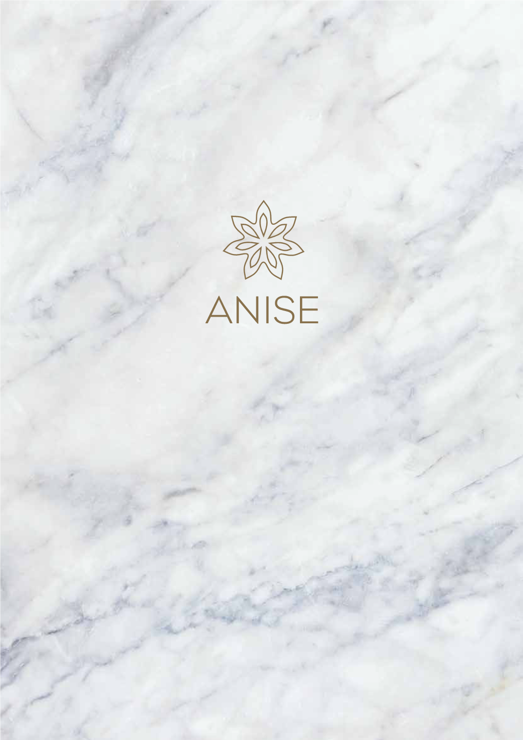 ANISE-Bar-Menu-May-2016.Pdf