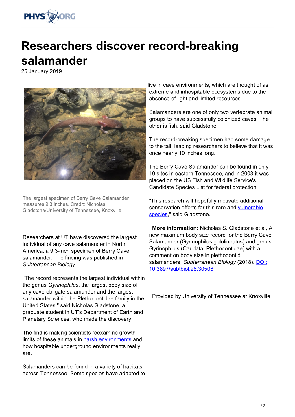 Researchers Discover Record-Breaking Salamander 25 January 2019