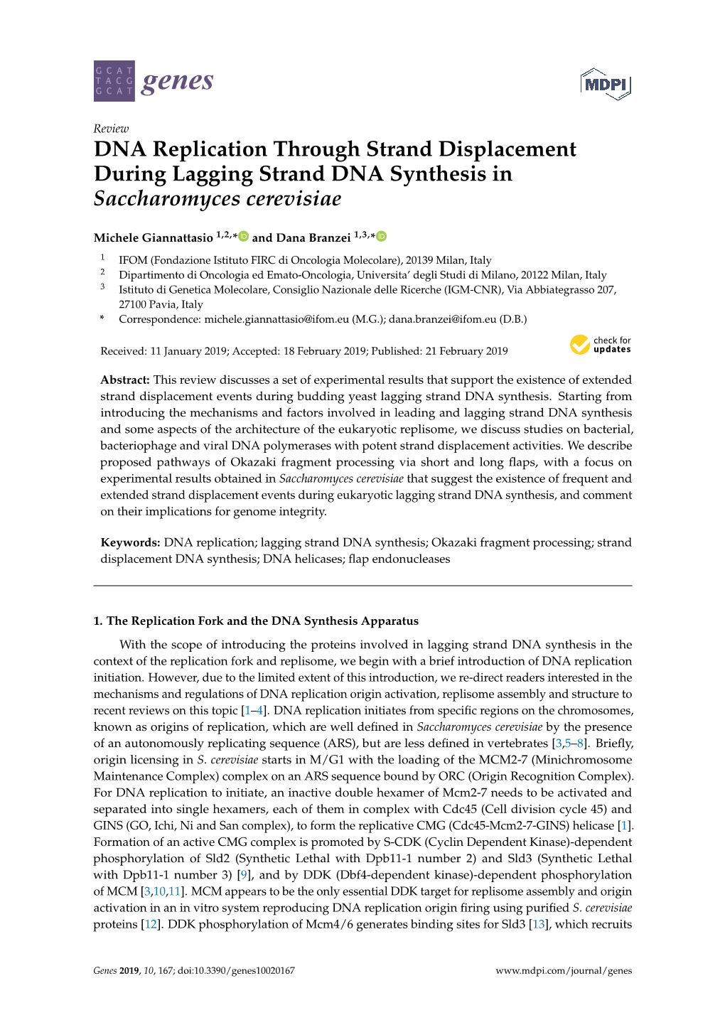 DNA Replication Through Strand Displacement During Lagging Strand DNA Synthesis in Saccharomyces Cerevisiae