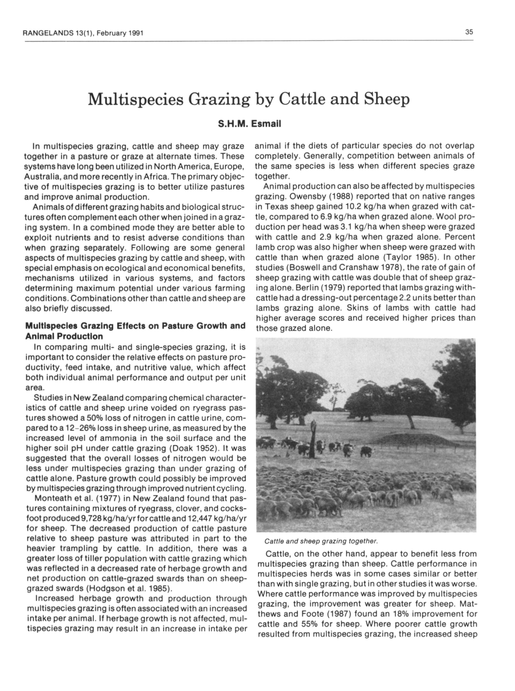 Multispecies Grazing by Cattle and Sheep S.H.M