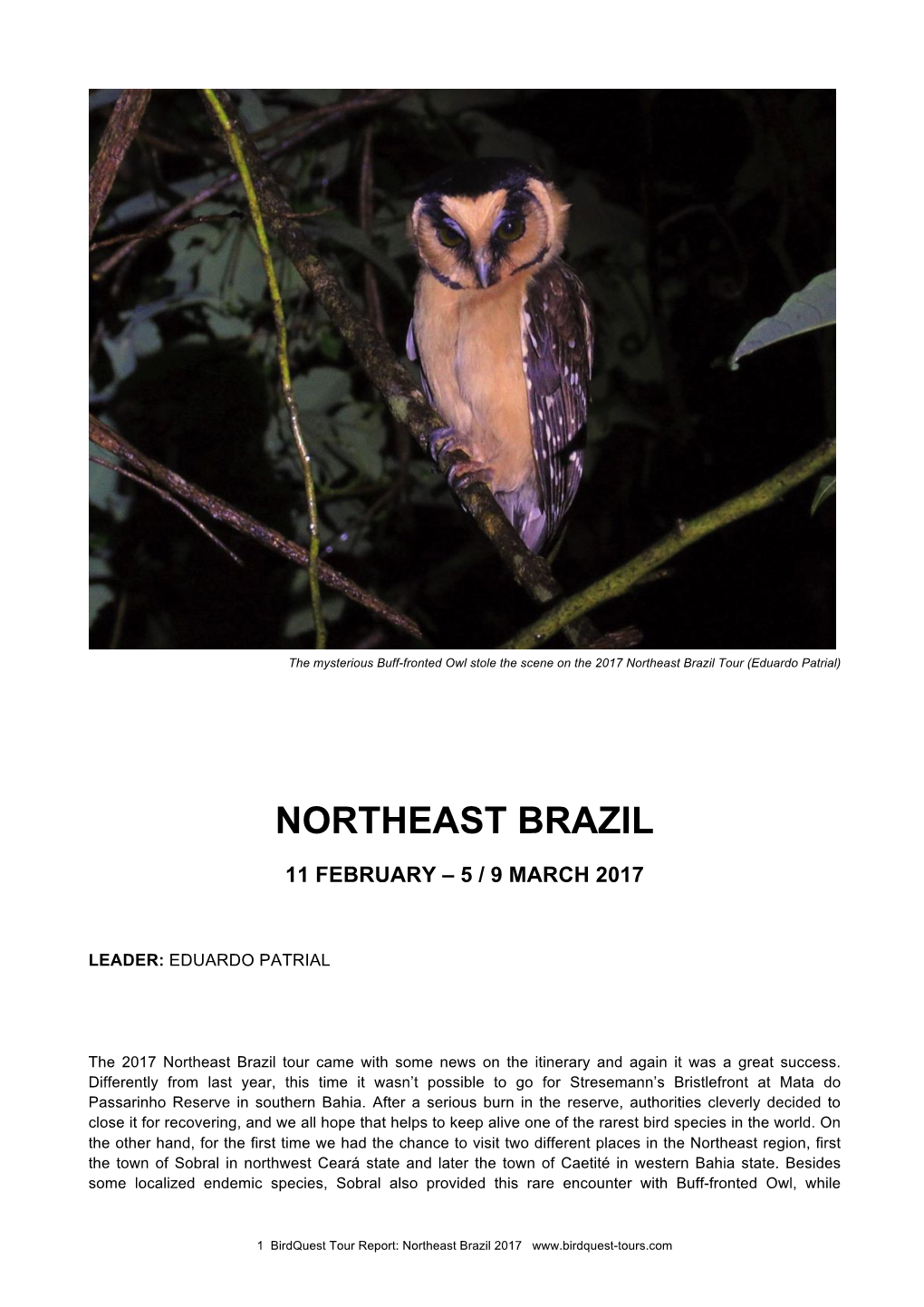 Northeast Brazil Tour (Eduardo Patrial)