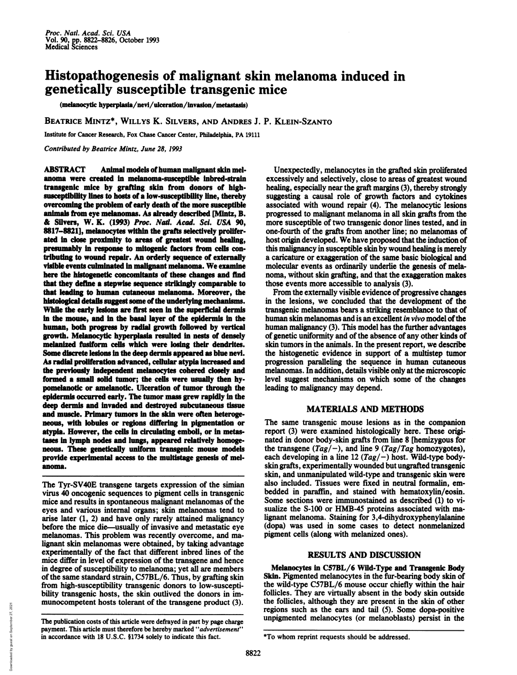 Histopathogenesis of Malignant Skin Melanoma Induced in Genetically