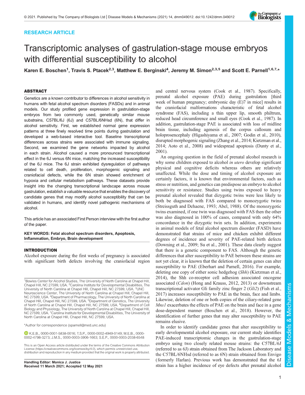 Transcriptomic Analyses of Gastrulation-Stage Mouse Embryos with Differential Susceptibility to Alcohol Karen E