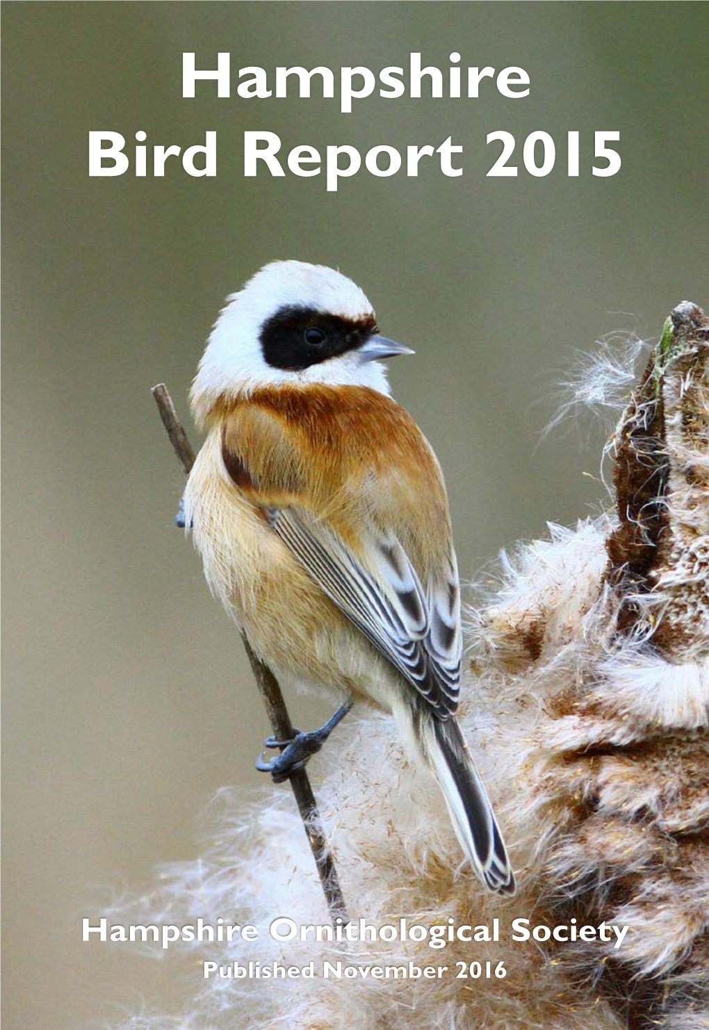 Hampshire Bird Report 2015