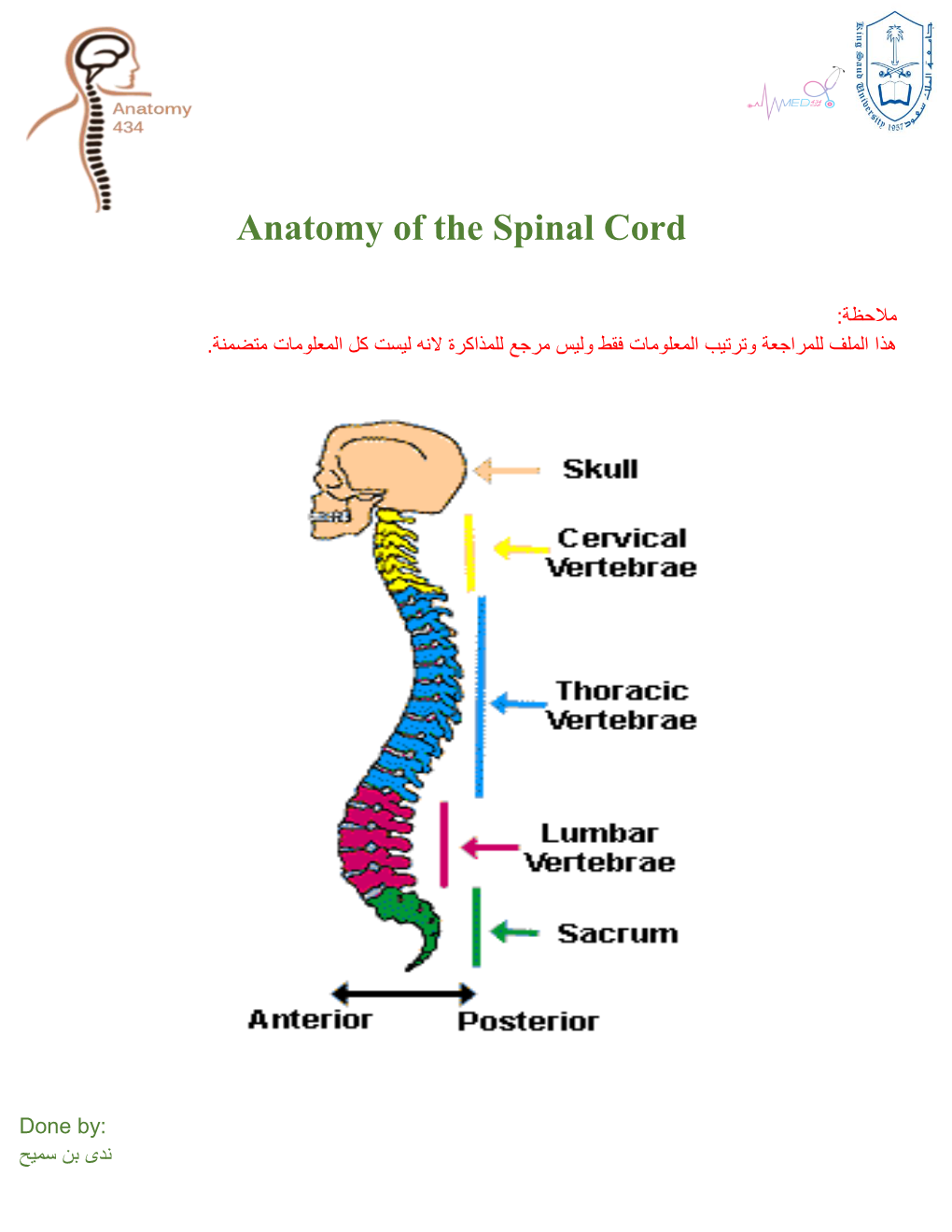 Anatomy of the Spinal Cord