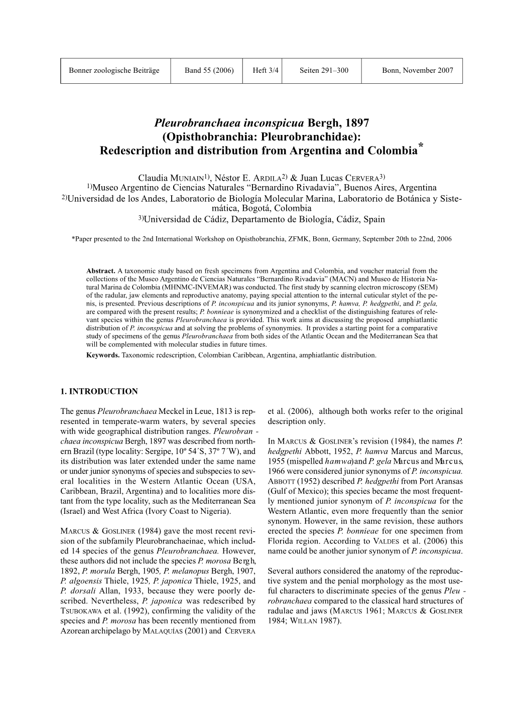 Pleurobranchaea Inconspicua Bergh, 1897 (Opisthobranchia: Pleurobranchidae): Redescription and Distribution from Argentina and Colombia*