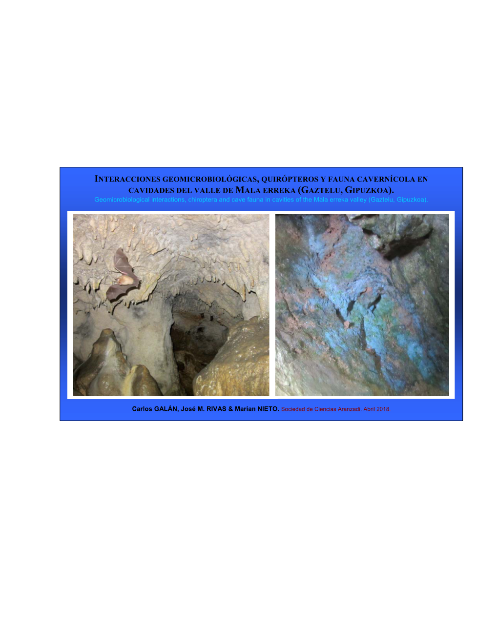 Interacciones Geomicrobiológicas, Quirópteros Y Fauna Cavernícola En Cavidades Del Valle De Mala Erreka (Gaztelu, Gipuzkoa)