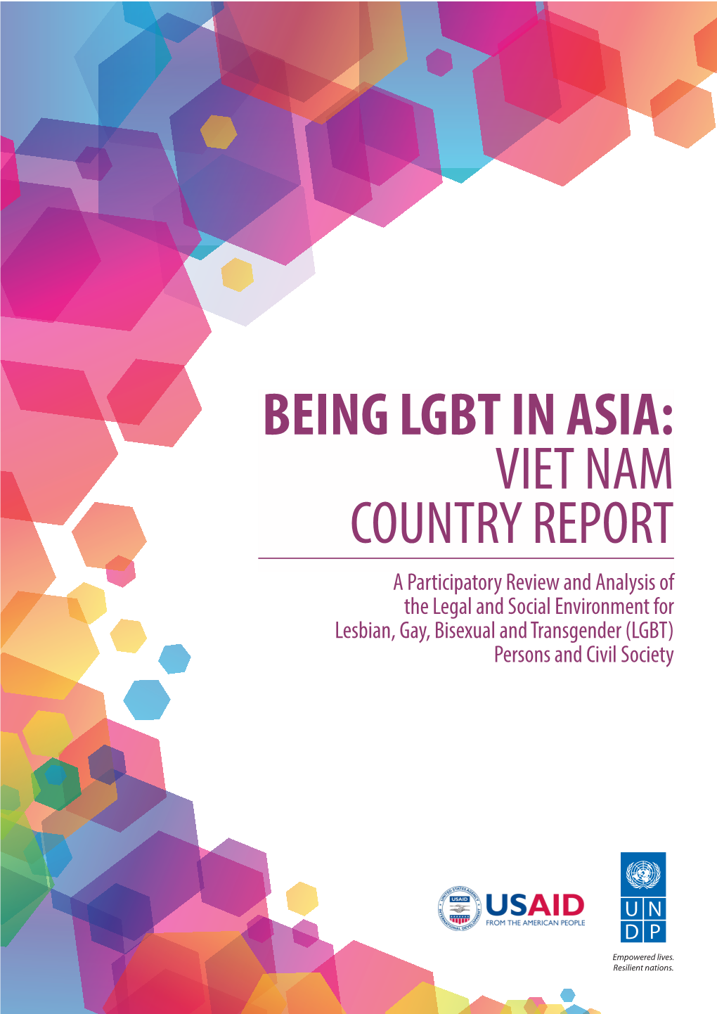 Being Lgbt in Asia: Viet Nam Country Report