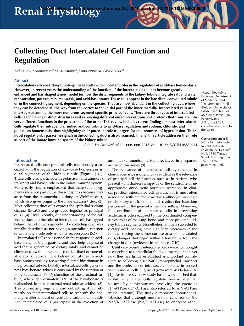 Collecting Duct Intercalated Cell Function and Regulation