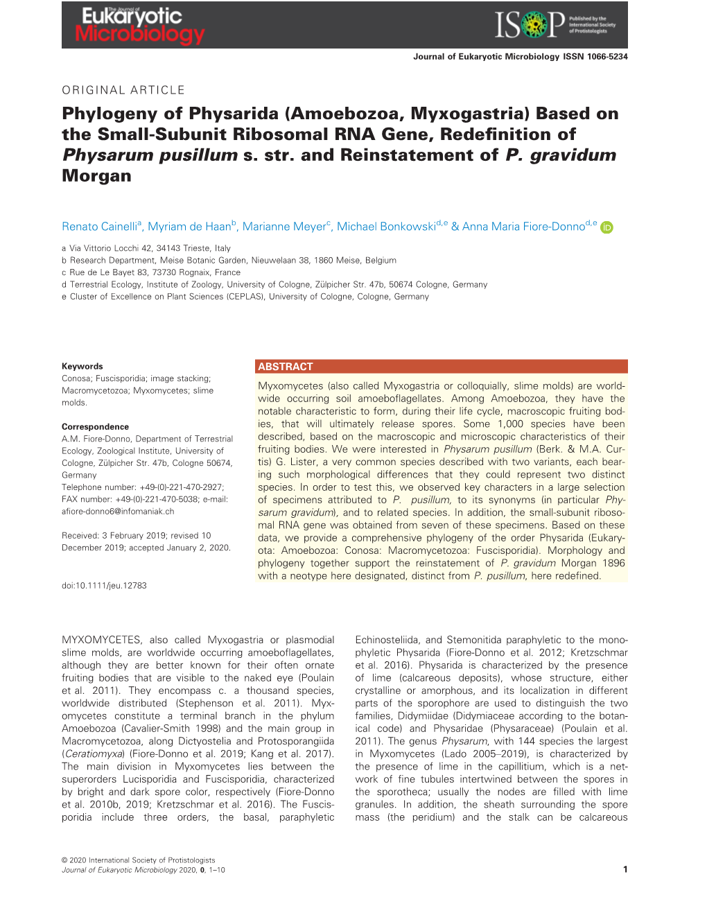 Phylogeny of Physarida (Amoebozoa, Myxogastria) Based on the Small-Subunit Ribosomal RNA Gene, Redeﬁnition of Physarum Pusillum S