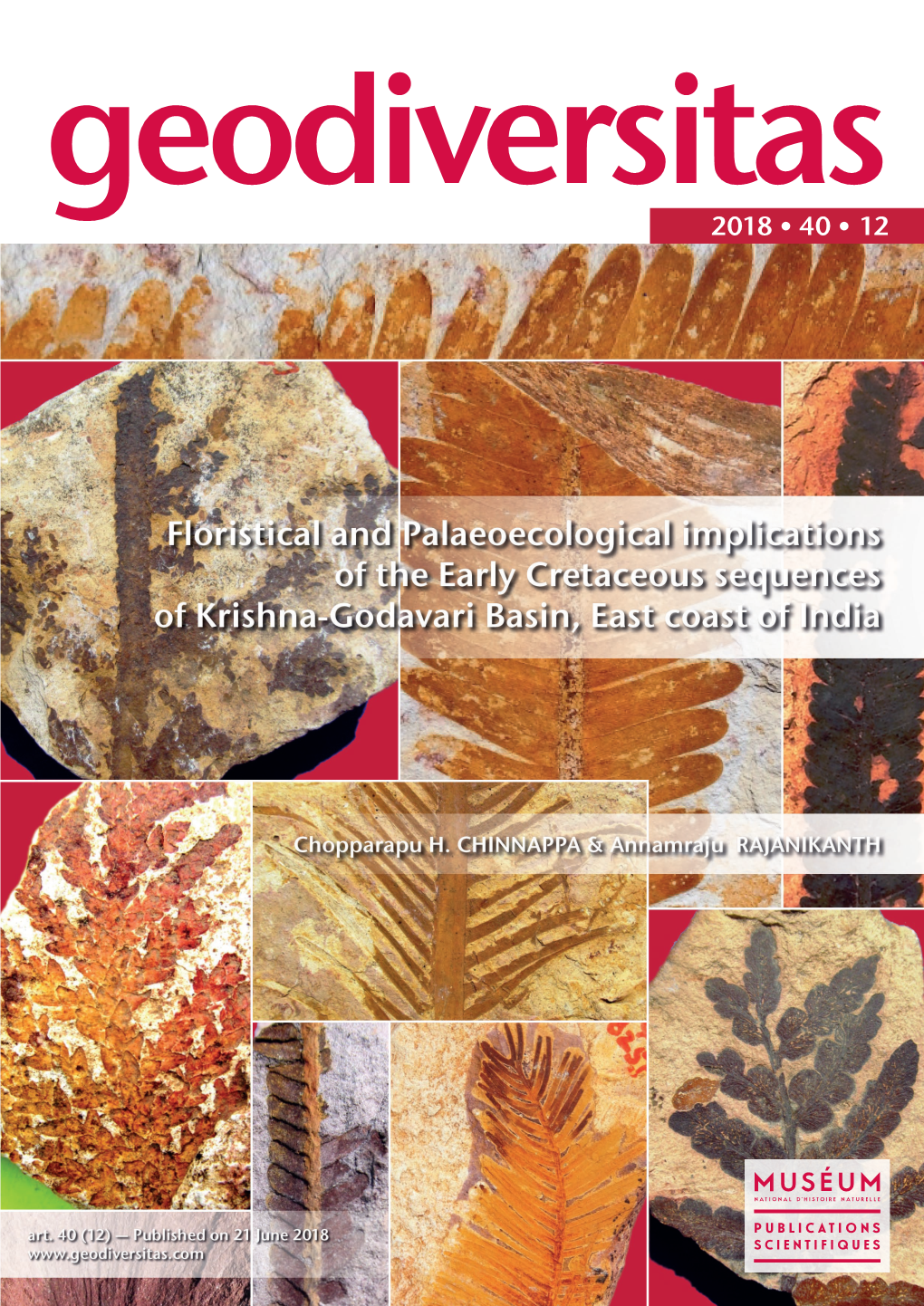 Floristical and Palaeoecological Implications of the Early Cretaceous Sequences of Krishna-Godavari Basin, East Coast of India
