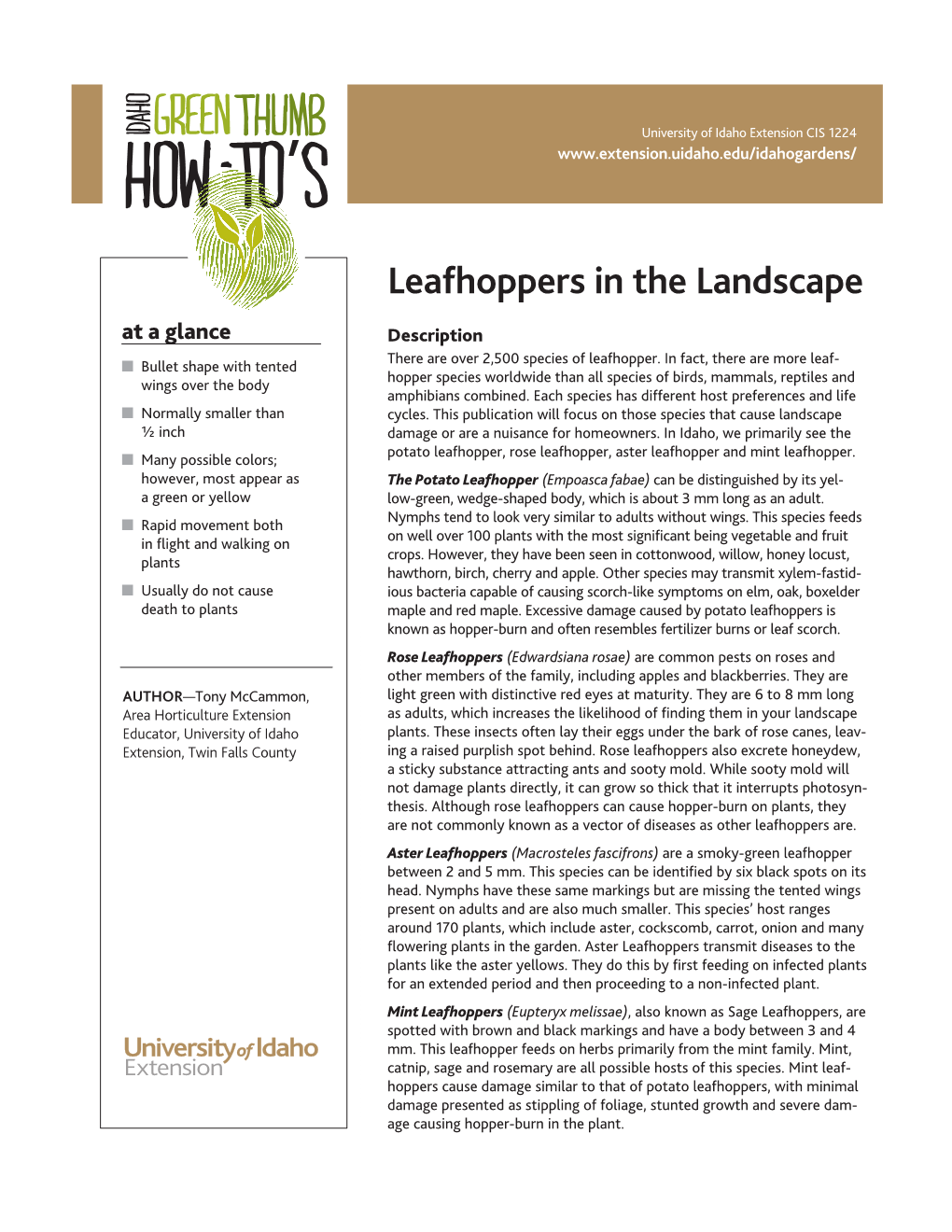 Leafhoppers in the Landscape at a Glance Description There Are Over 2,500 Species of Leafhopper