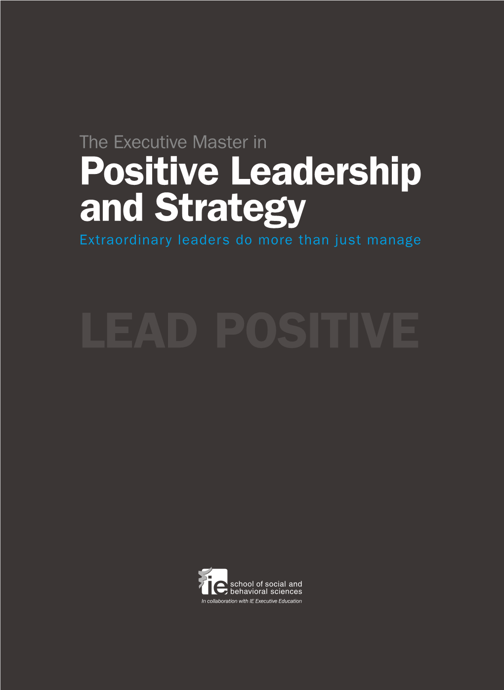 Executive Master in Positive Leadership and Strategy Extraordinary Leaders Do More Than Just Manage