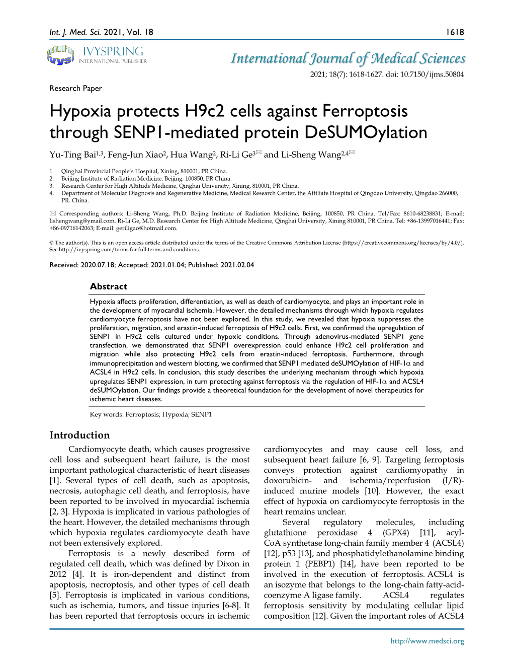 Hypoxia Protects H9c2 Cells Against Ferroptosis Through SENP1-Mediated Protein Desumoylation