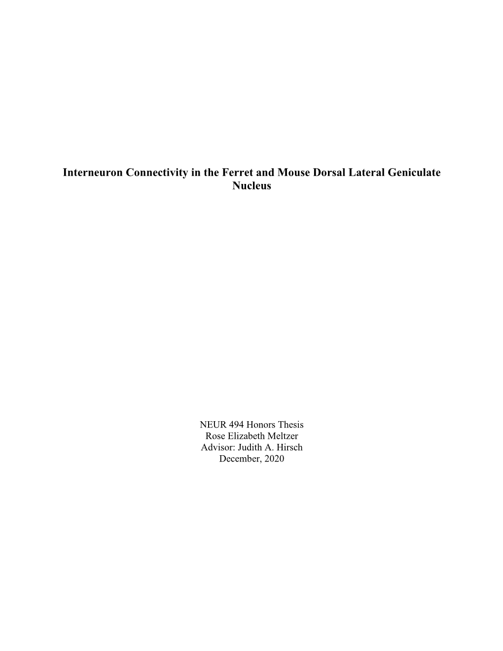 Interneuron Connectivity in the Ferret and Mouse Dorsal Lateral Geniculate Nucleus