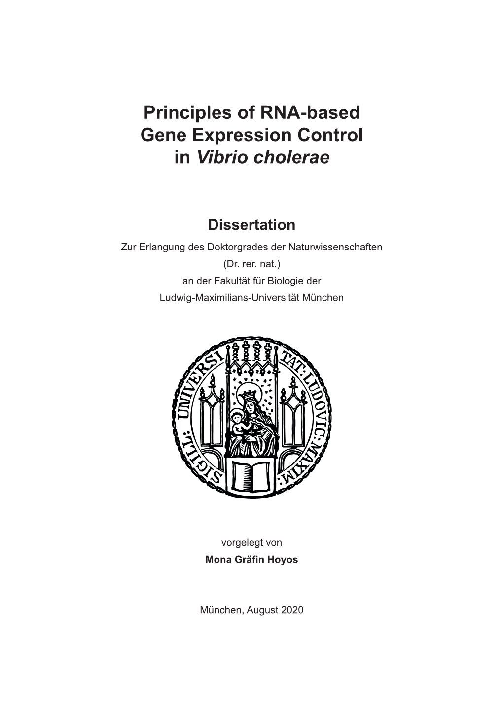 Principles of RNA-Based Gene Expression Control in Vibrio Cholerae