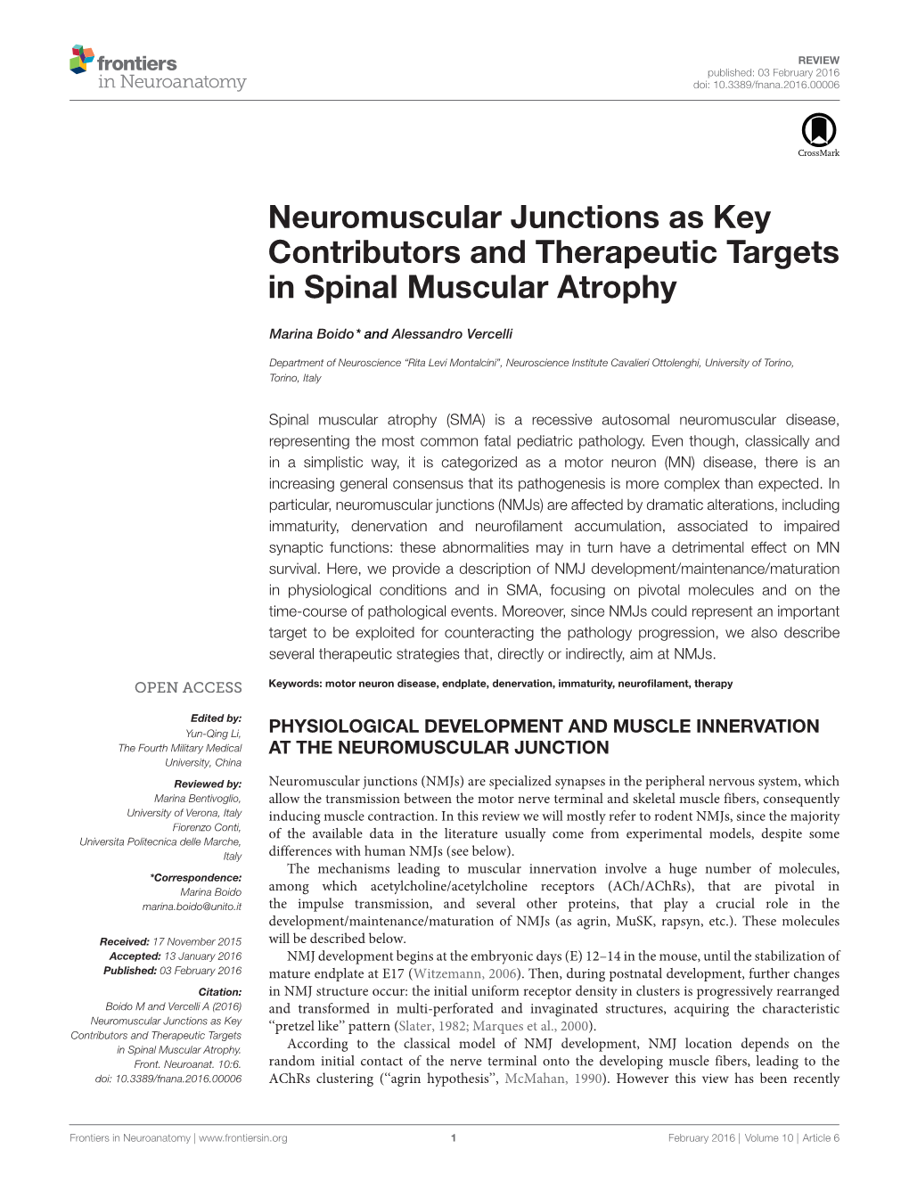 Neuromuscular Junctions As Key Contributors and Therapeutic Targets in Spinal Muscular Atrophy