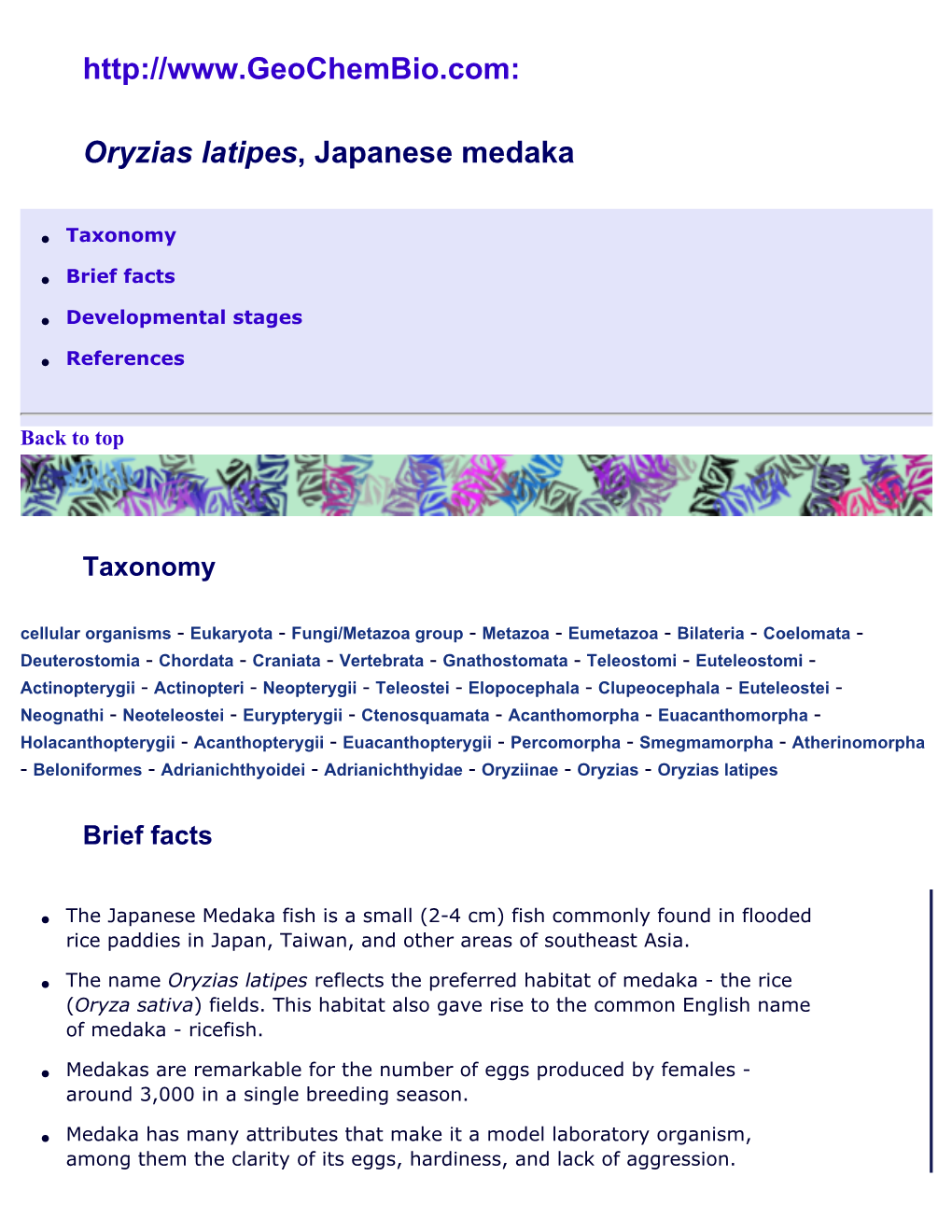 Oryzias Latipes, Medaka As a Model Organism: Taxonomy, Facts, Development Stages, Bibliography at Geochembio