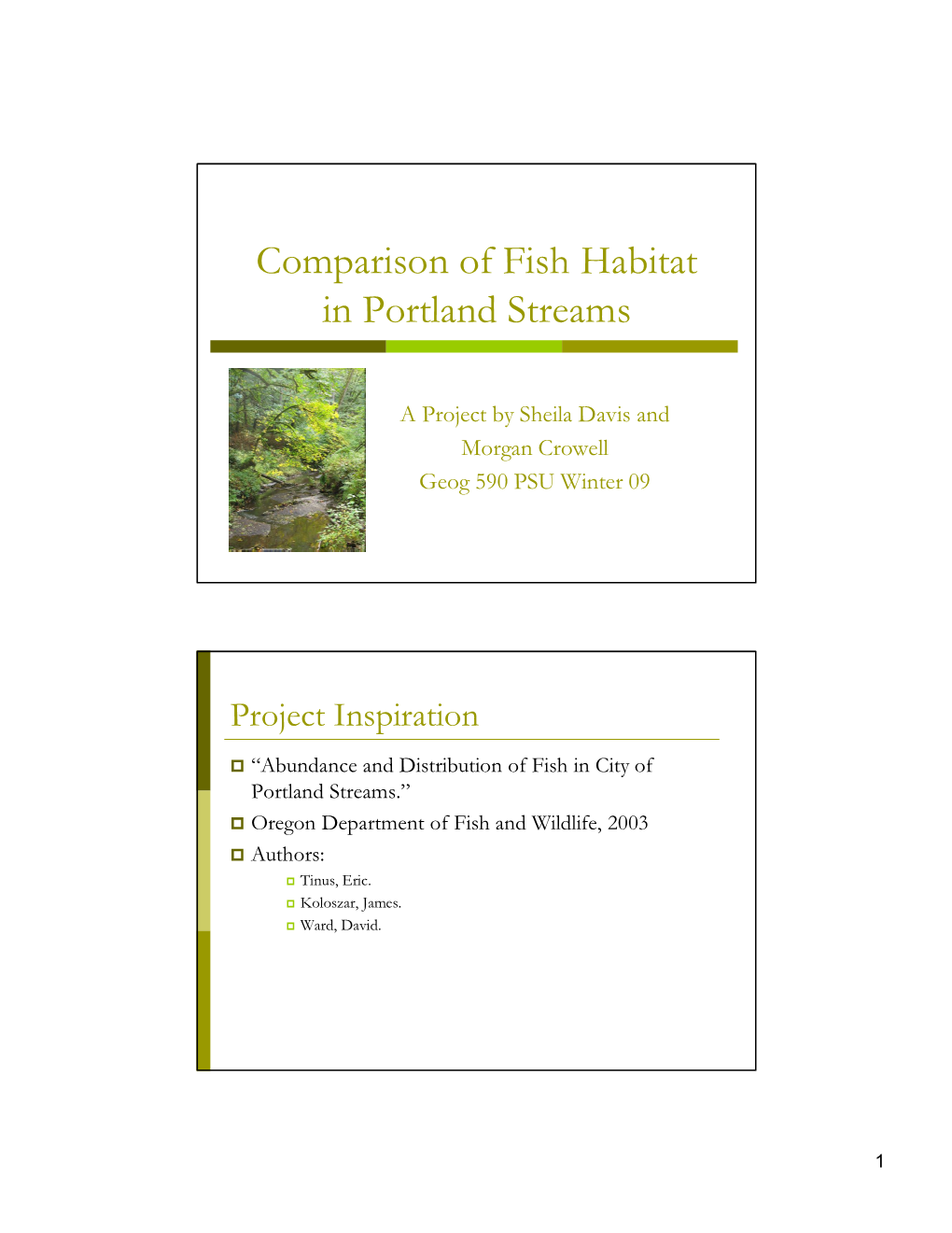 Comparison of Fish Habitat in Portland Streams