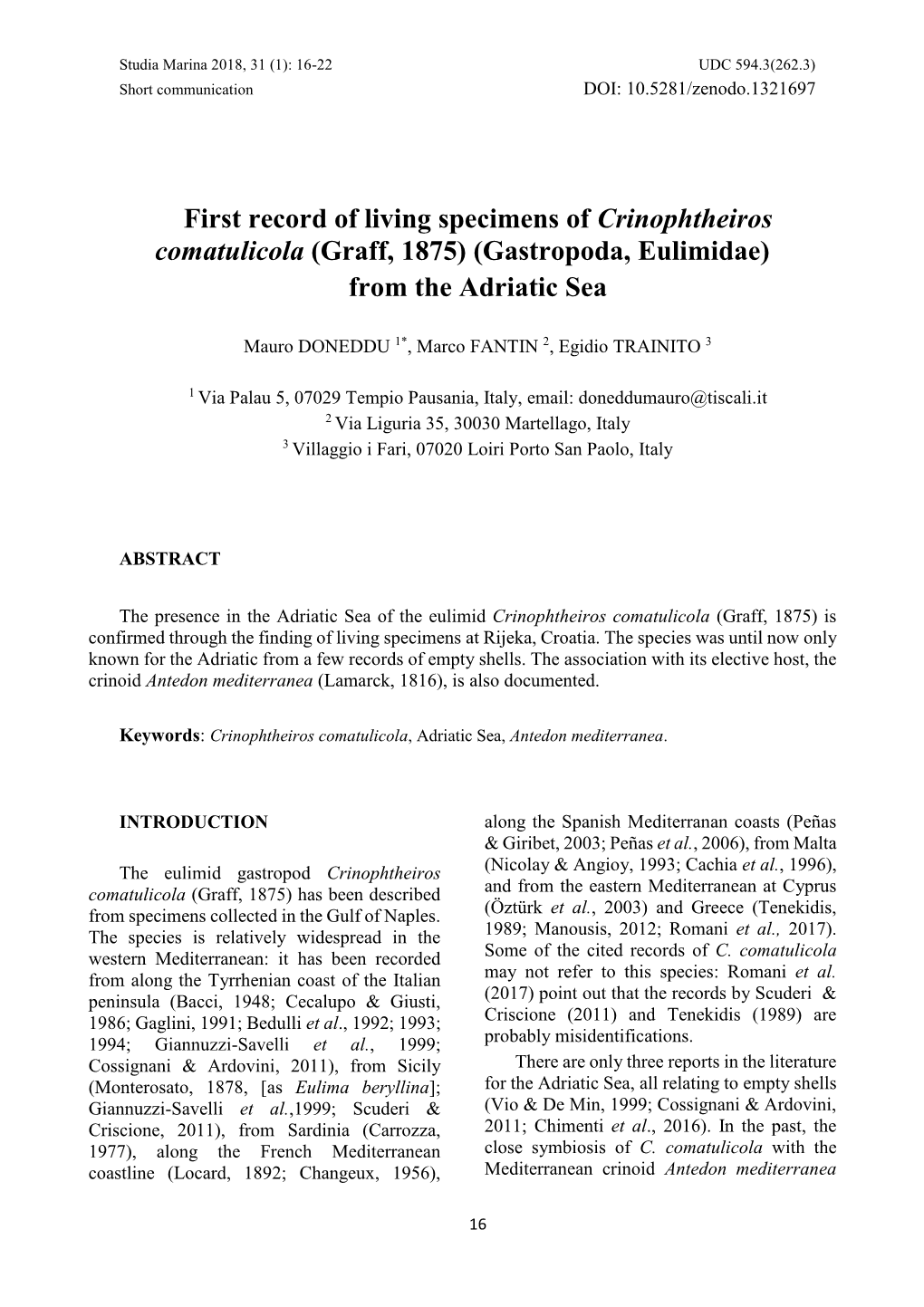 First Record of Living Specimens of Crinophtheiros Comatulicola (Graff, 1875) (Gastropoda, Eulimidae) from the Adriatic Sea