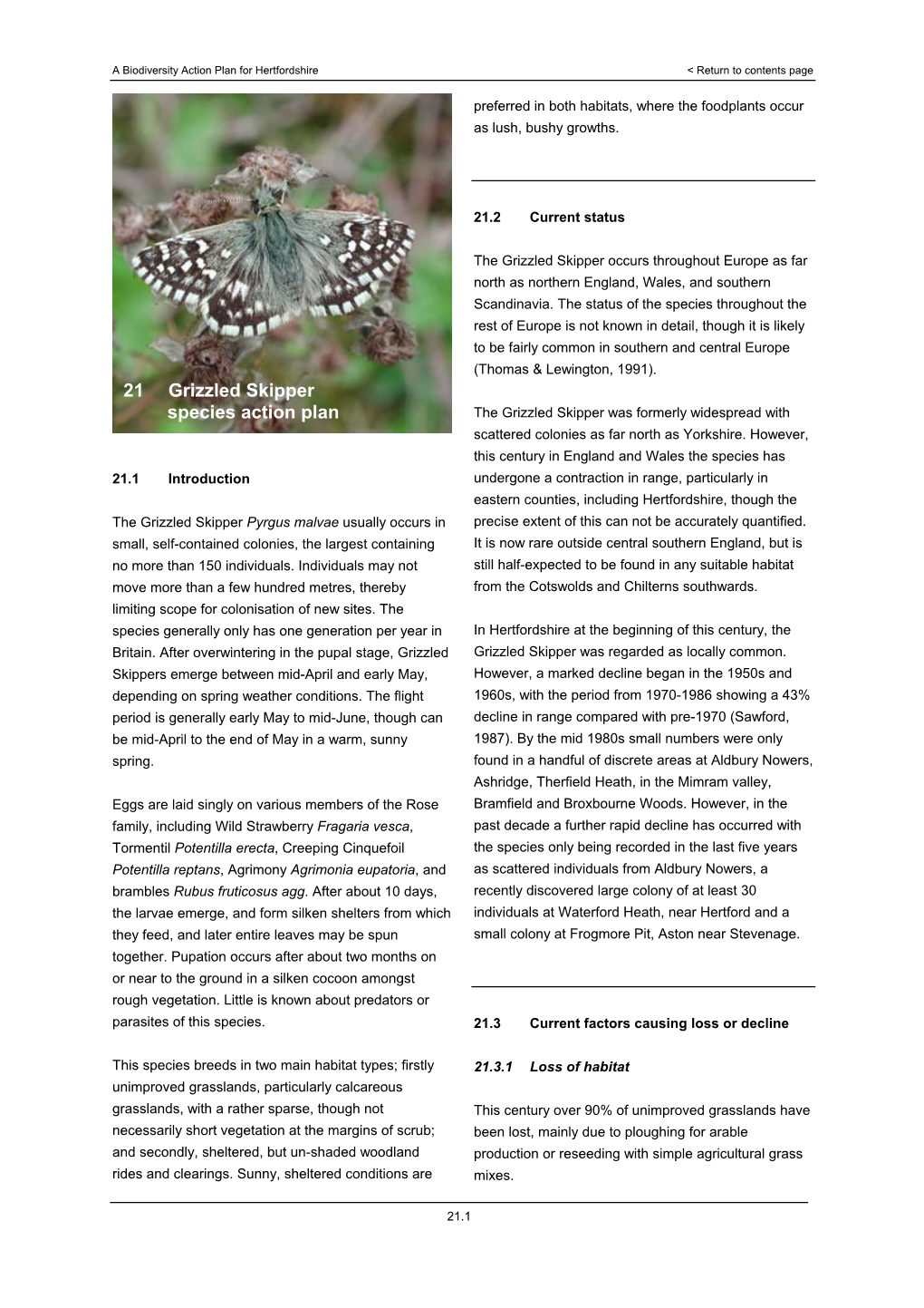 21 Grizzled Skipper Species Action Plan the Grizzled Skipper Was Formerly Widespread with Scattered Colonies As Far North As Yorkshire