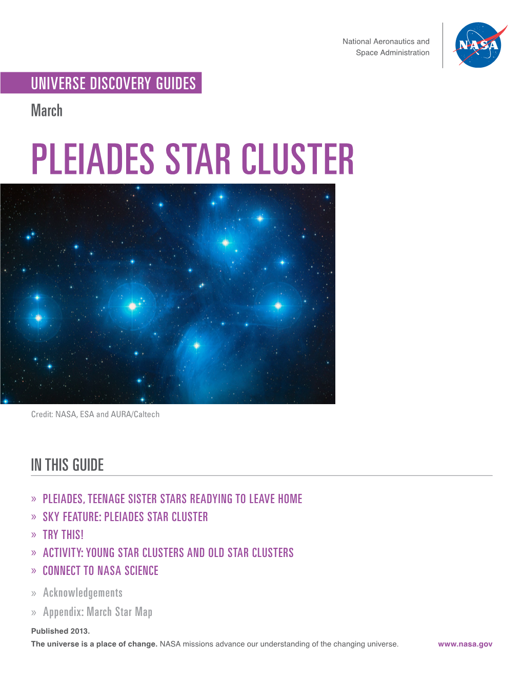 Pleiades Star Cluster