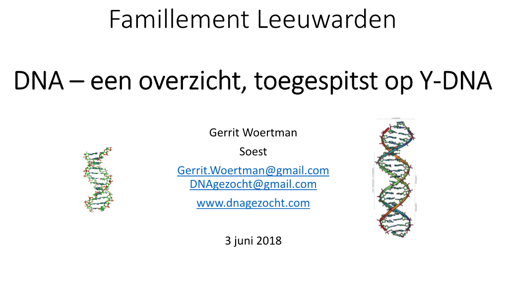 Famillement Leeuwarden DNA – Een Overzicht, Toegespitst Op Y-DNA