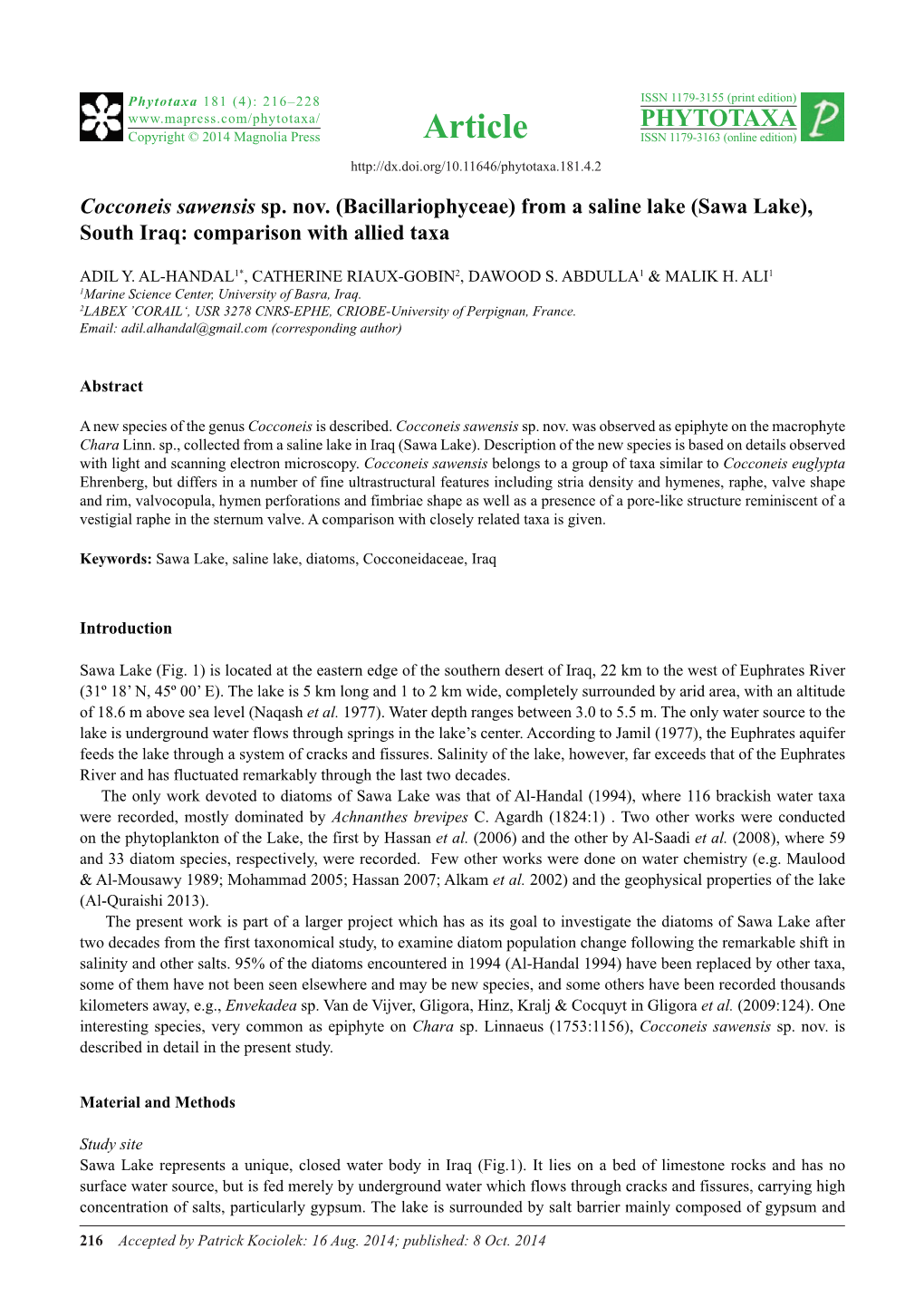 Cocconeis Sawensis Sp. Nov. (Bacillariophyceae) from a Saline Lake (Sawa Lake), South Iraq: Comparison with Allied Taxa