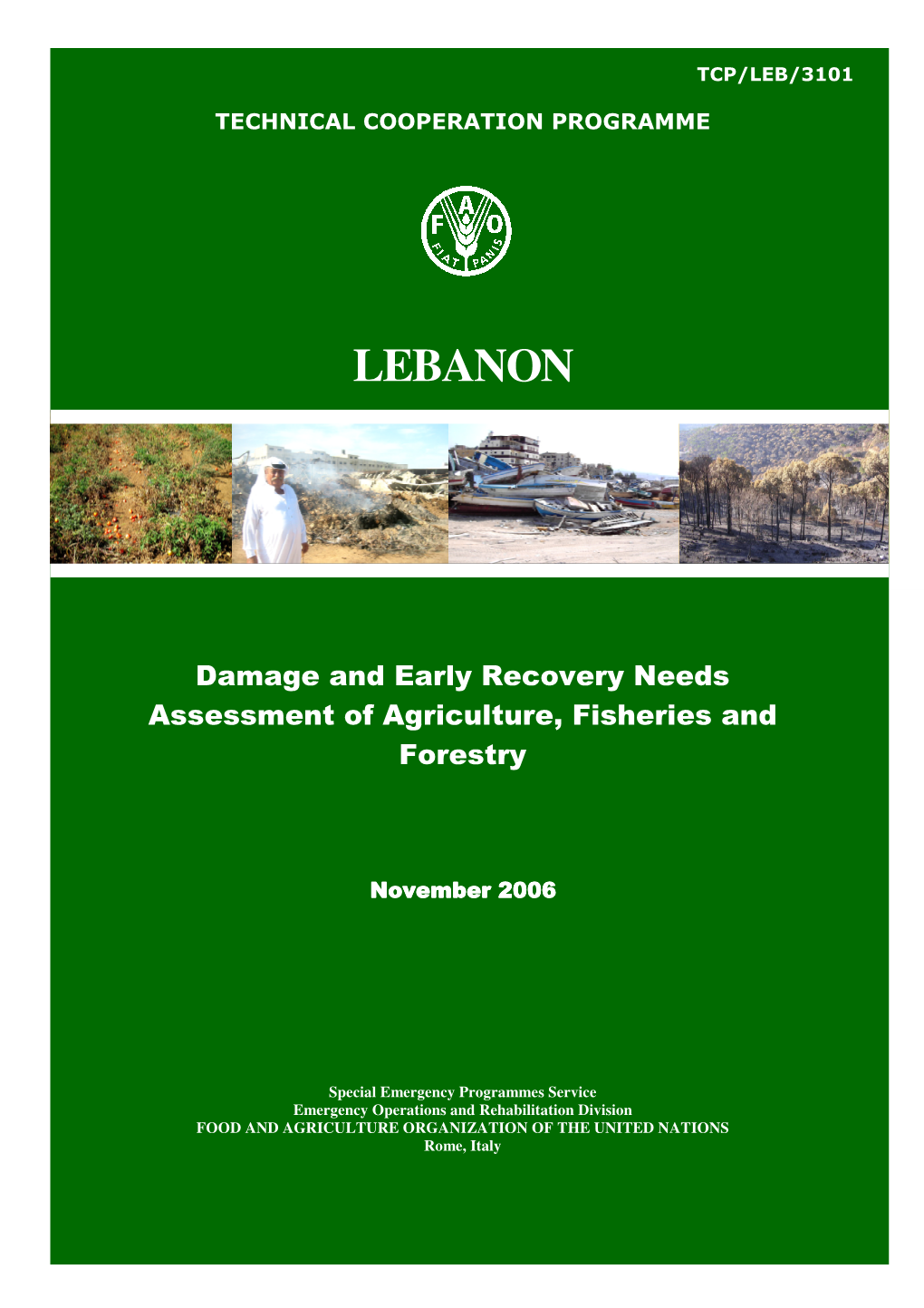 FAO Damage and Needs Assessment for Lebanon