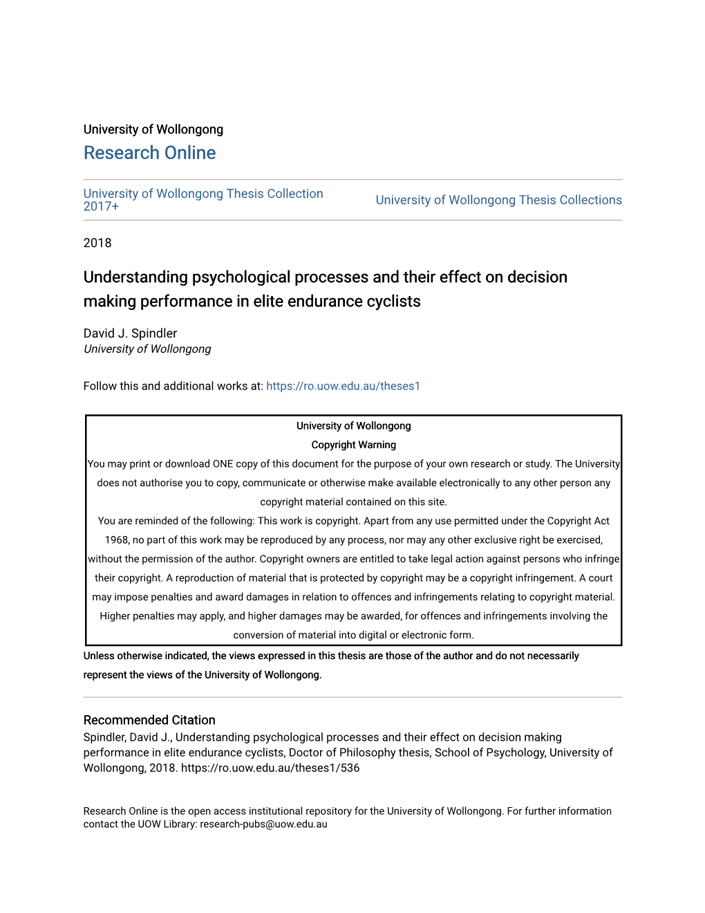 Understanding Psychological Processes and Their Effect on Decision Making Performance in Elite Endurance Cyclists