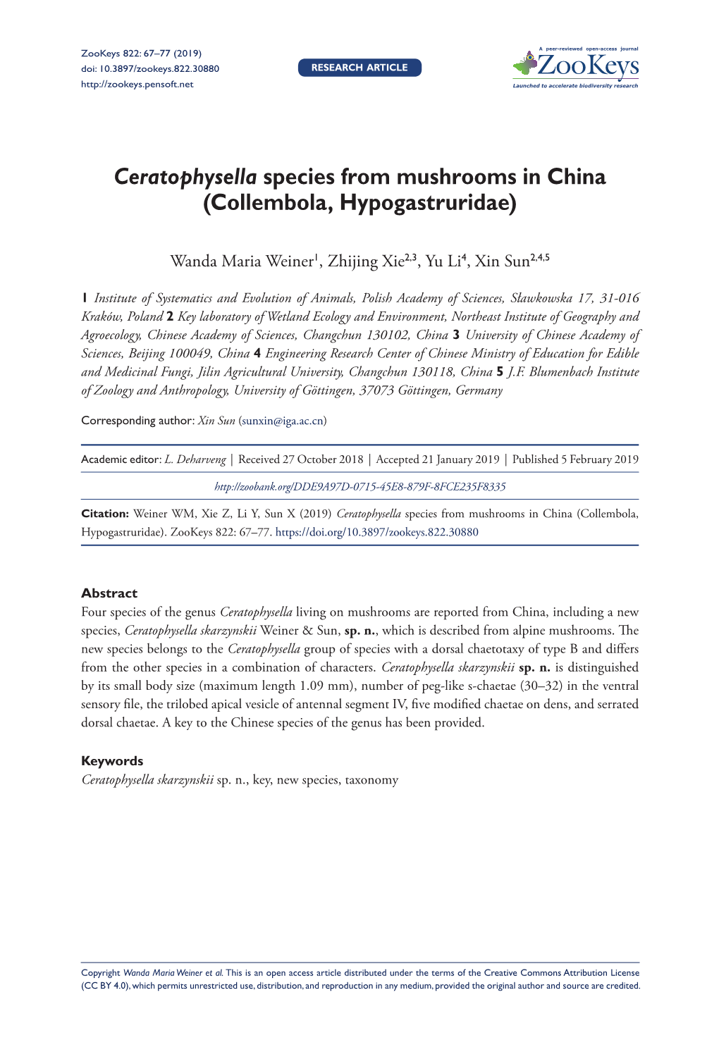 Ceratophysella Species from Mushrooms in China (Collembola, Hypogastruridae)