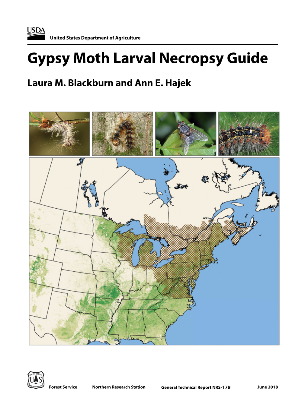 Gypsy Moth Larval Necropsy Guide