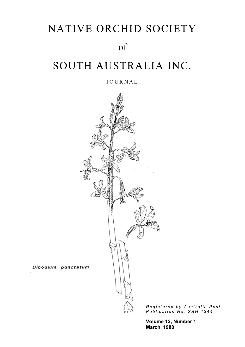 Native Orchid Society South Australia Inc