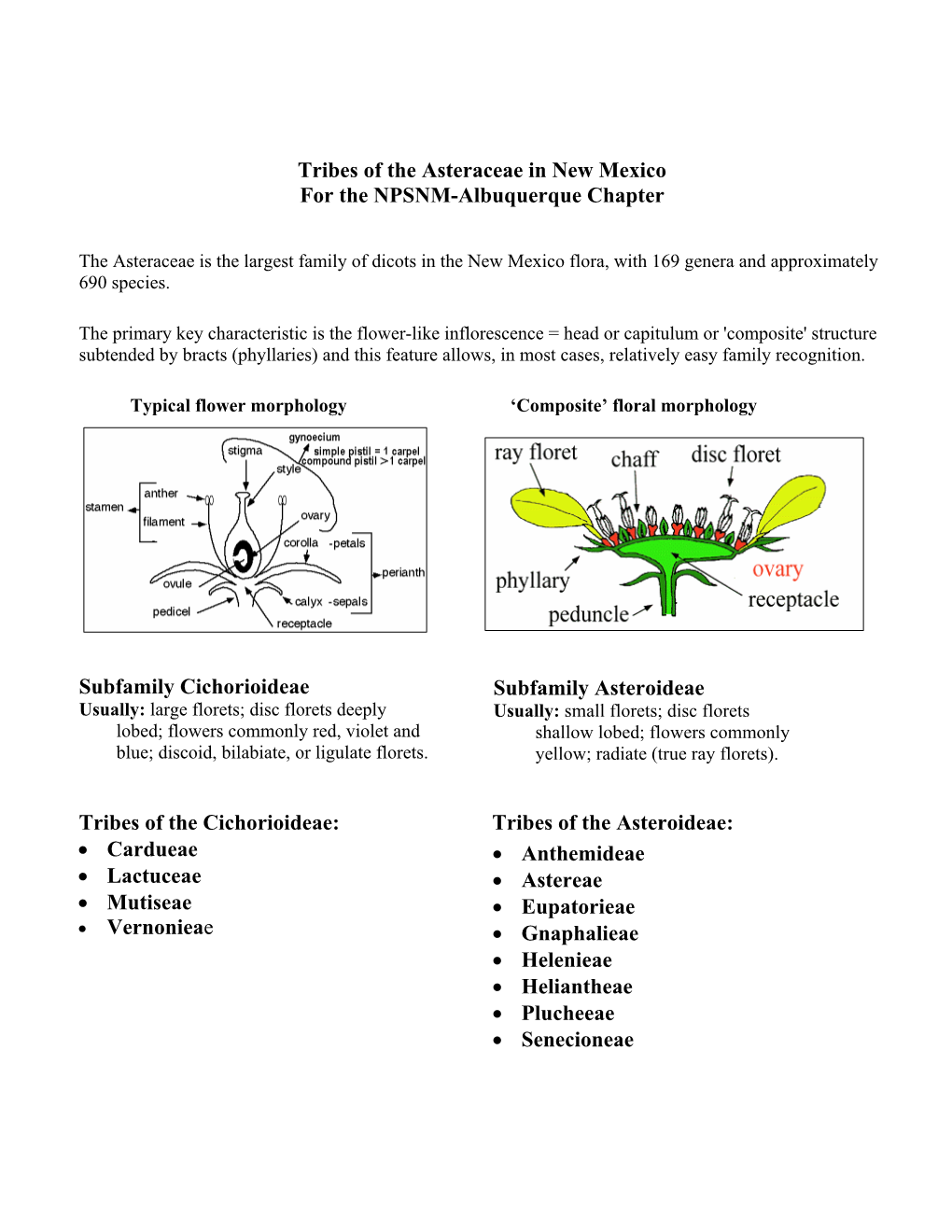 Tribes of the Asteraceae in New Mexico for the NPSNM-Albuquerque Chapter