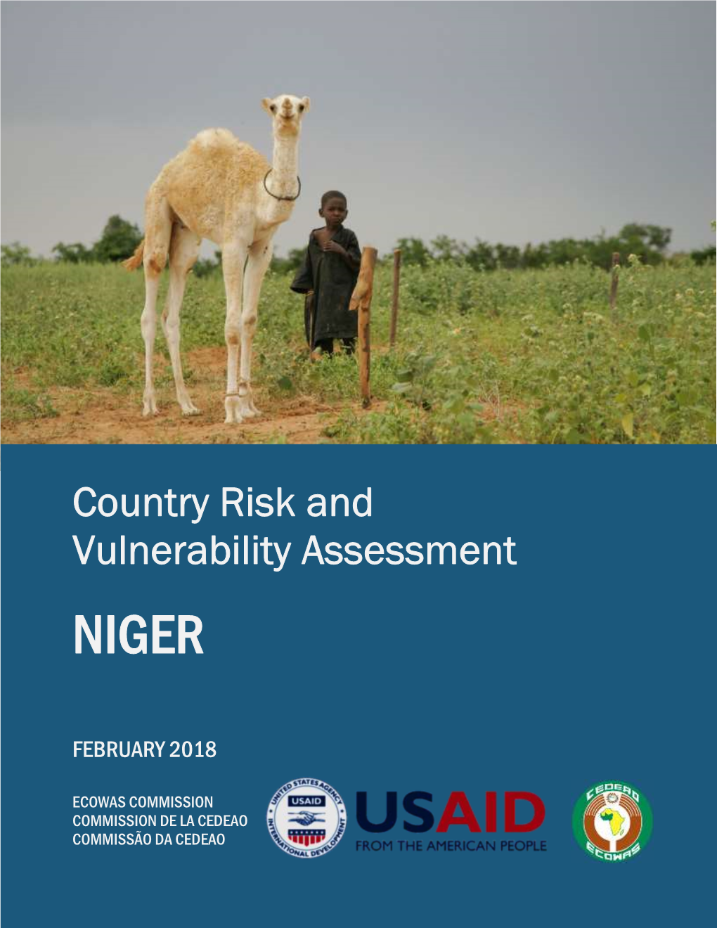 CRVA Report – Niger