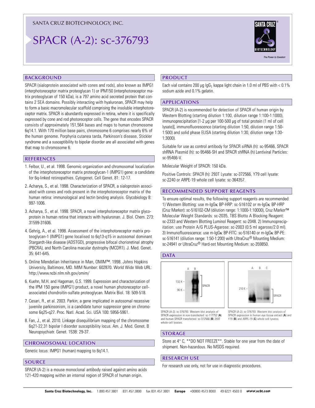 Datasheet Blank Template