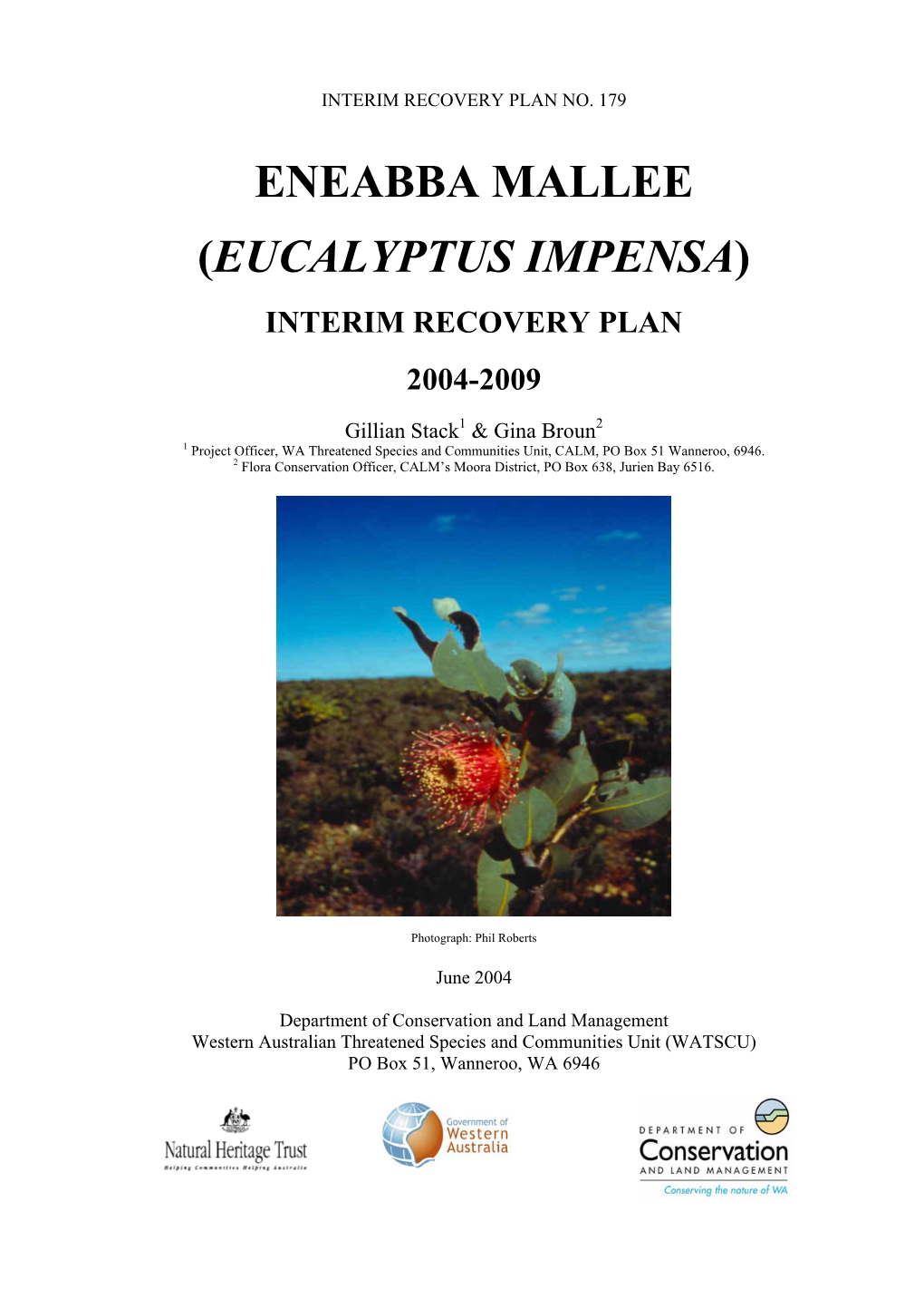 (Eucalyptus Impensa) Interim Recovery