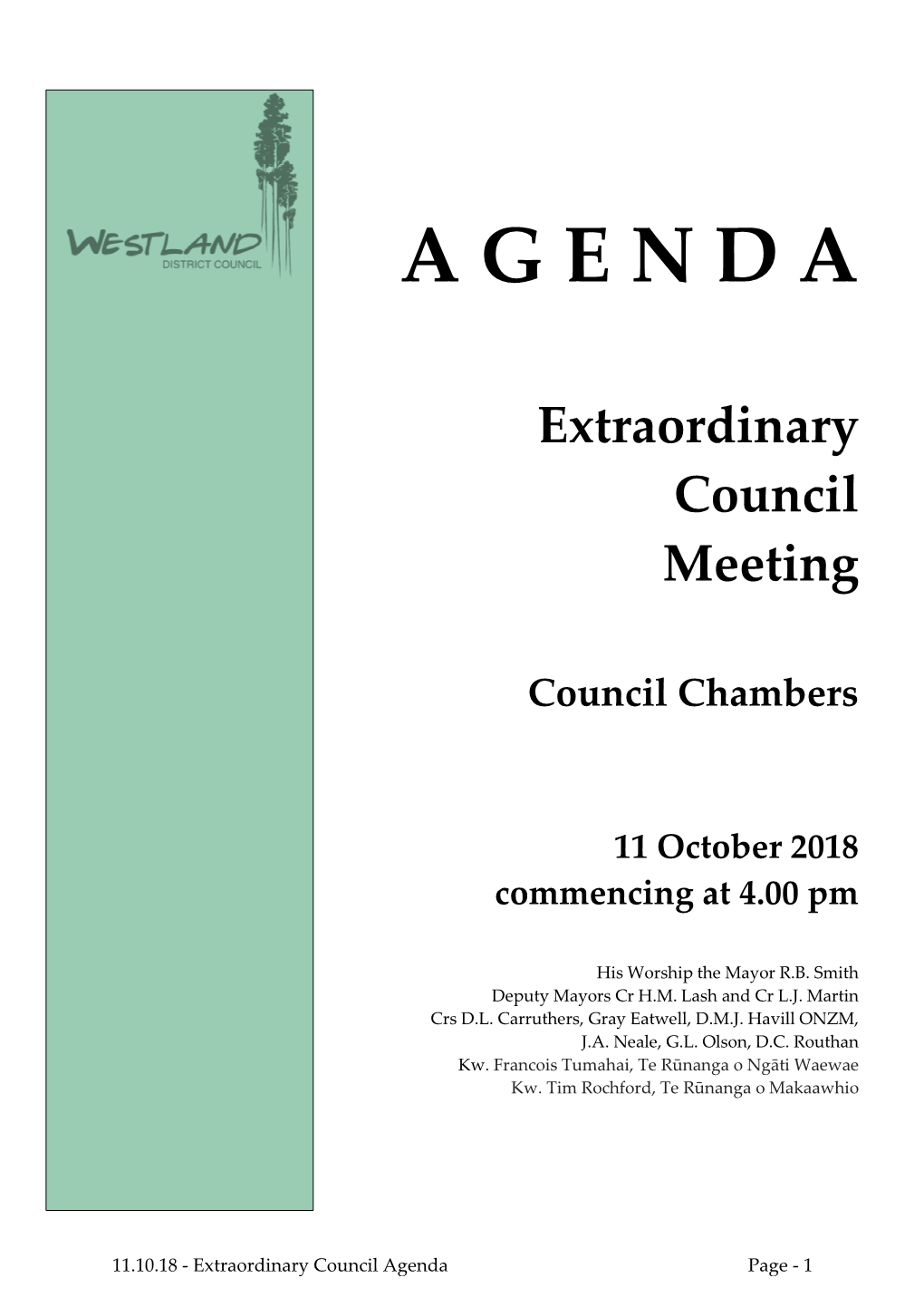 Extraordinary Council Meeting