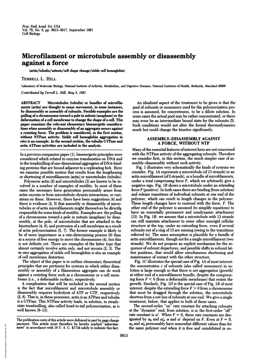 Microfilament Or Microtubule Assemblyor Disassembly