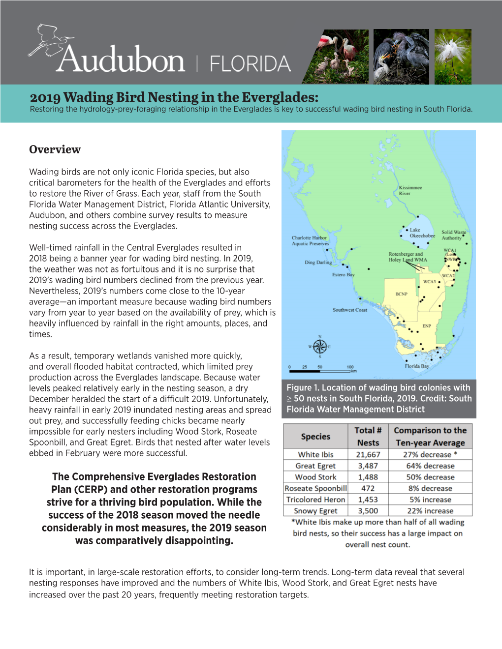 2019 Wading Bird Nesting in the Everglades