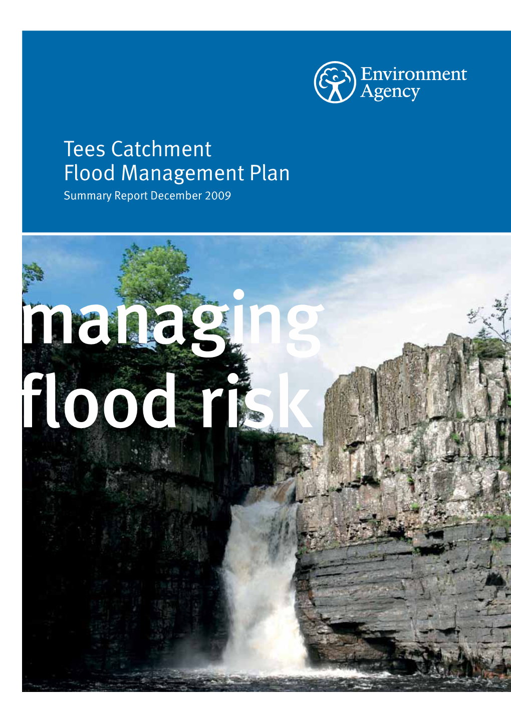 River Tees Catchment Flood Management Plan