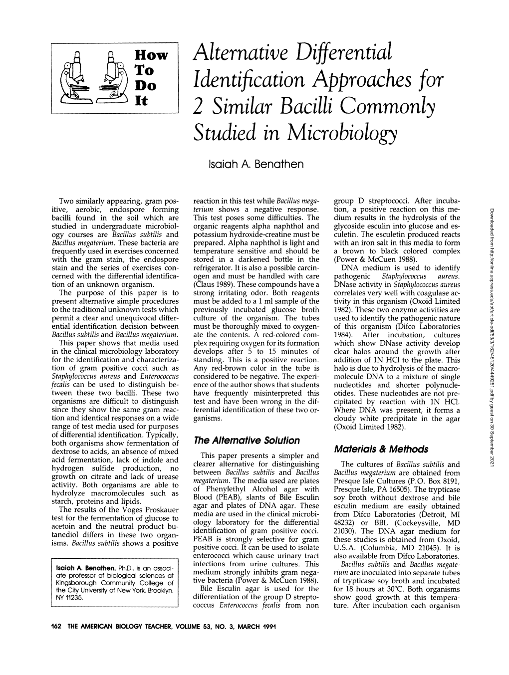 Alternative Differential Identification Approaches for 2 Similar Bacilli