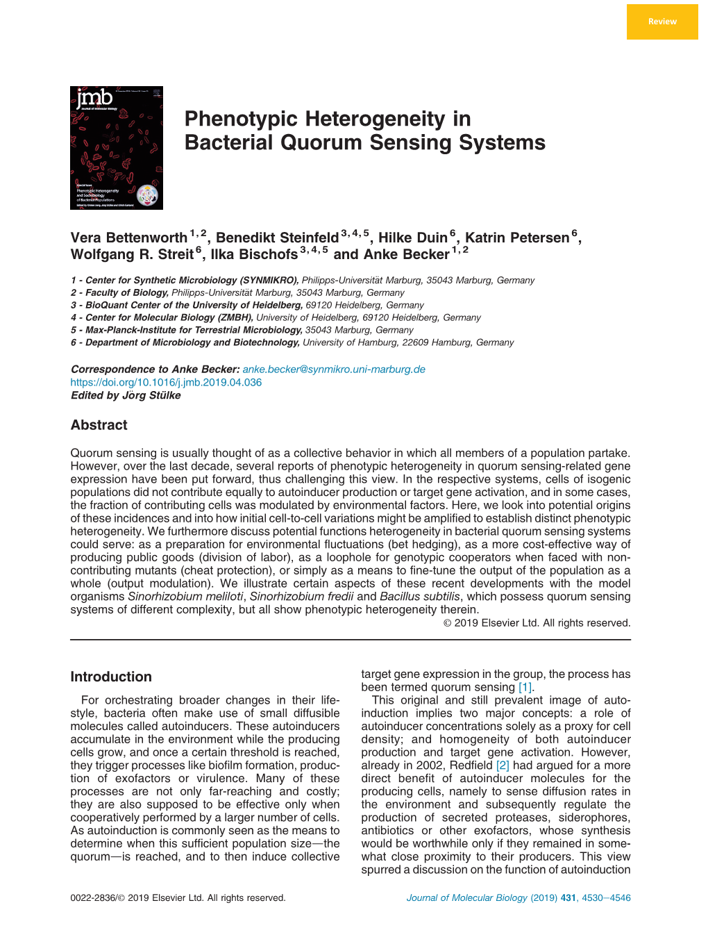 Phenotypic Heterogeneity in Bacterial Quorum Sensing Systems